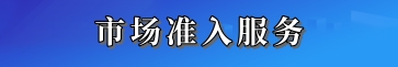 市場準入服務